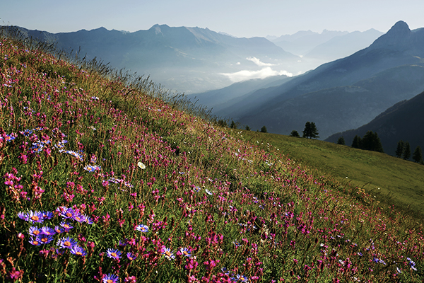 Der Parc National du Mercantour bei Allos, Frankreich