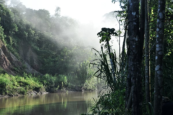 Peruanisches Amazonasgebiet