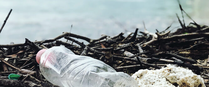 Plastiklasche am Strand