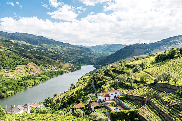 Landschaft im Douro Tal