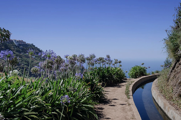 Aussicht vom Levada Trek