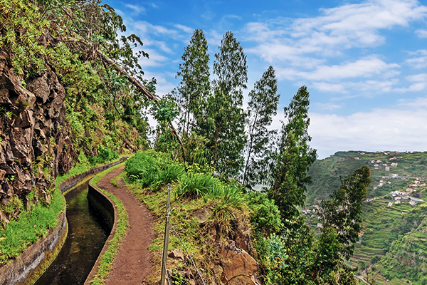 Aussicht von einer Levada auf Madeira