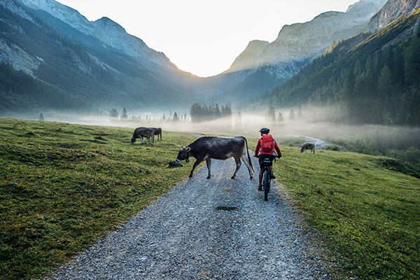 radfahrerin mountainbike karwendel tirol