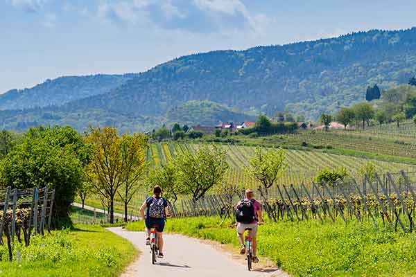 Zwei Radfahrer auf asphaltiertem Weg durch grüne Weinberge