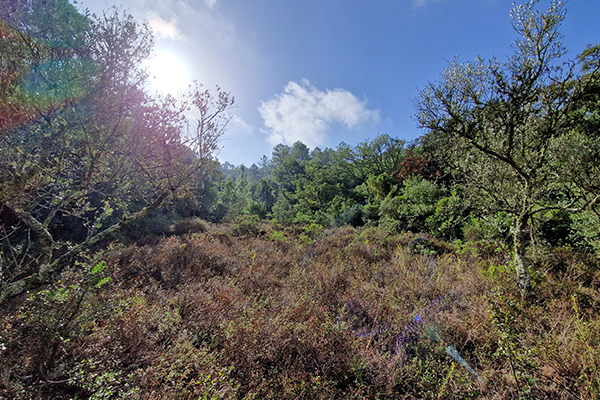 Wandern auf unbekannten Pfaden im Hinterland der Algarve