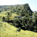 Reisterrassen unter blauem Himmel, Nepal