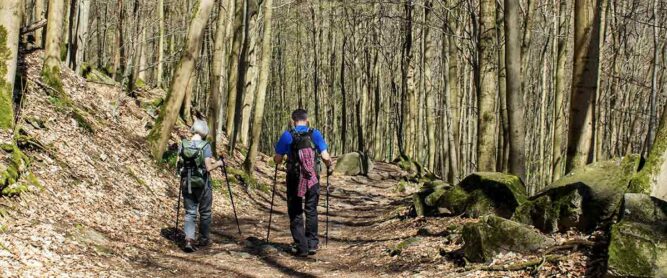 Wanderer auf dem Rheinsteig