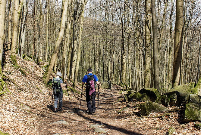 Zwei Wanderer am Rheinsteig