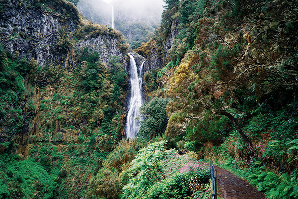 Risco Wasserfall, Madeira
