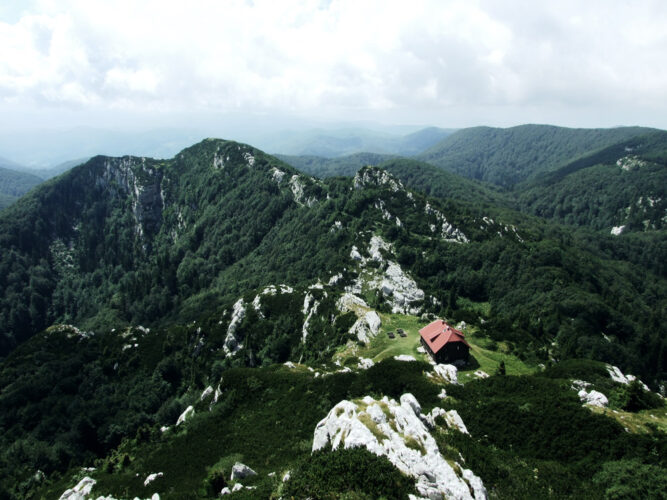 Blick von oben auf den grünen und bewaldeten Nationalpark