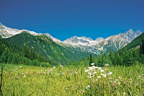 Bergwelt im Glacier Nationalpark, Kanada