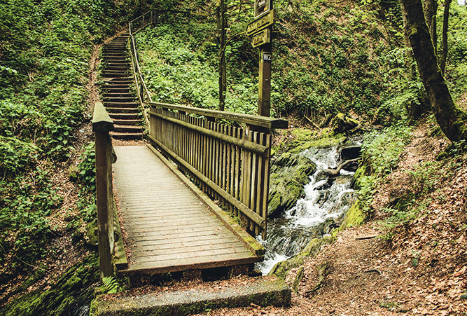 Brücker über Bach im Rothaargebirge, Deutschland