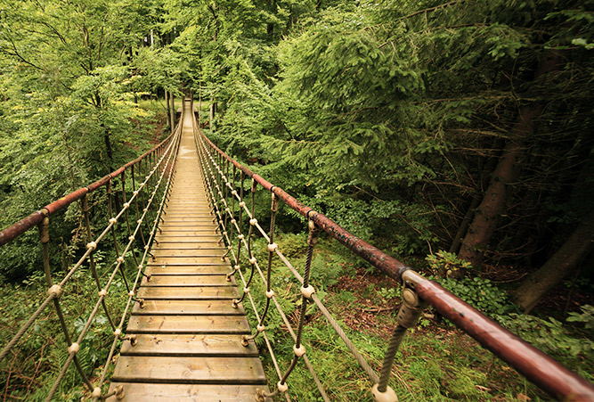 Brücke am Rothaarsteig im Sommer