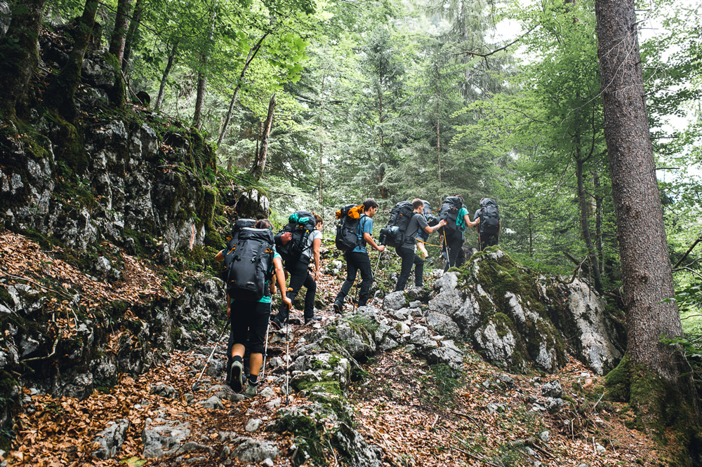 Gruppe Wanderer im Wald