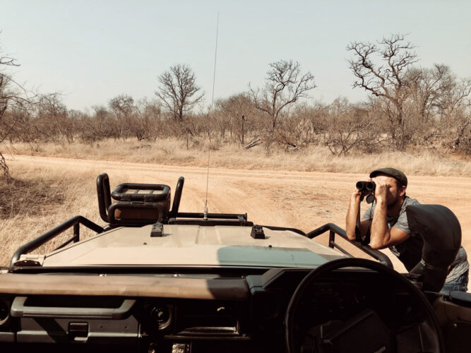 Mann mit Fernglas, Safari Kruger Nationalpark