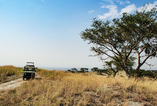 safari-queen-elizabeth-nationalpark-uganda