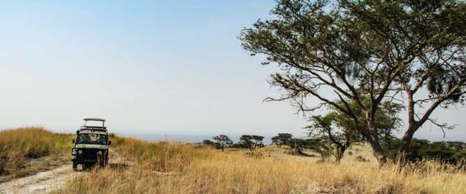 safari-queen-elizabeth-nationalpark-uganda