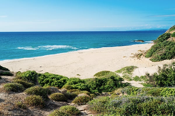 Dünen am Strand Scivu an der Costa Verde