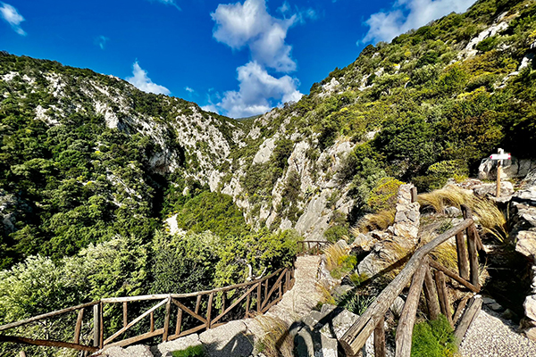 Wanderweg nach Cala Fuili