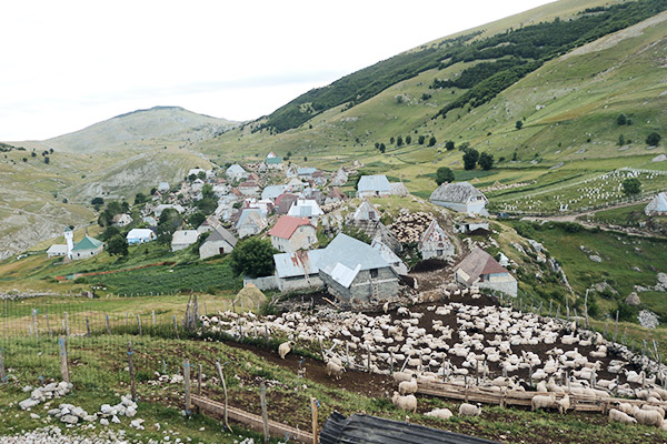 Schäfer in Lukomir, Bosnien