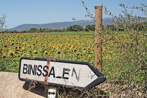 Ortsschild Binissalem vor einem Sonnenblumenfeld, Mallorca