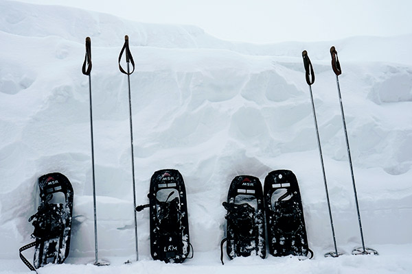 Schneeschuhe und Stoecke