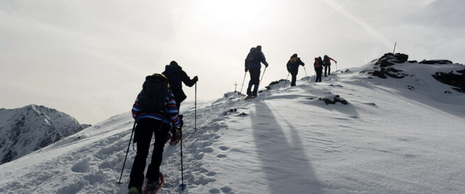 Schneeschuhwanderung geführt auf Gipfel