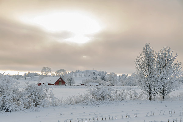 Huette im Schnee, Schweden