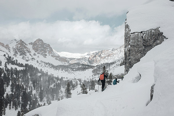 Waldgrenze Fanesalpe, Dolomiten