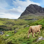 Wanderung auf der Isle of Skye