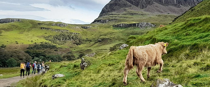 Wanderung auf der Isle of Skye