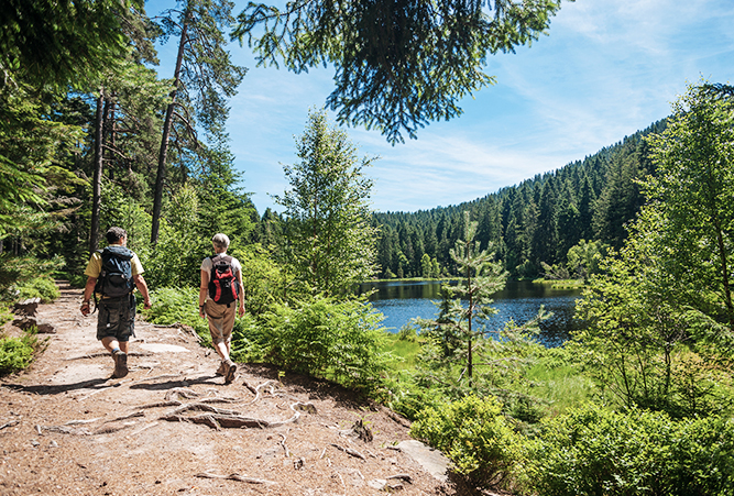 Zwei Wanderer am Herrenwieser See auf dem Westweg