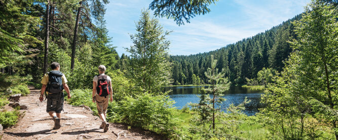 Zwei Wanderer am Herrenwieser See auf dem Westweg