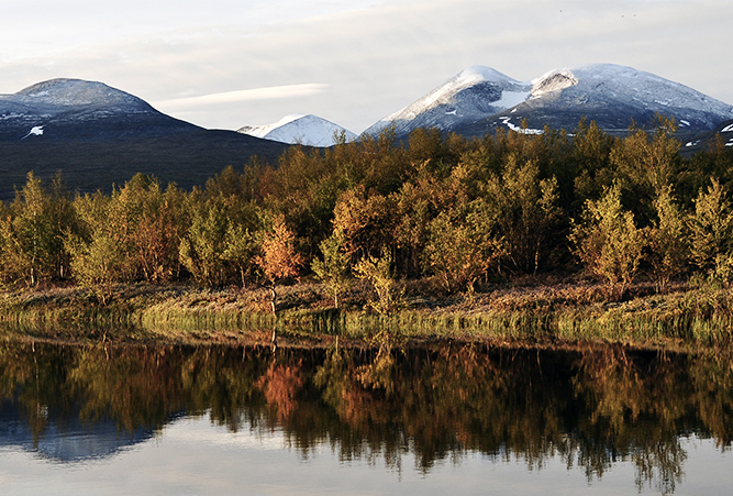 Landschaft im Abisko Nationalpark