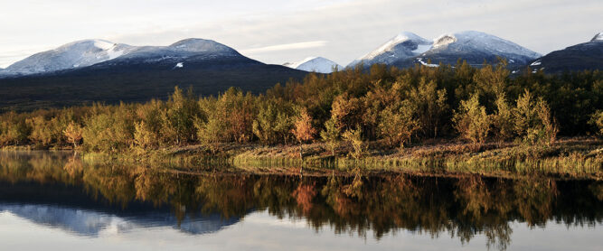 Landschaft im Abisko Nationalpark