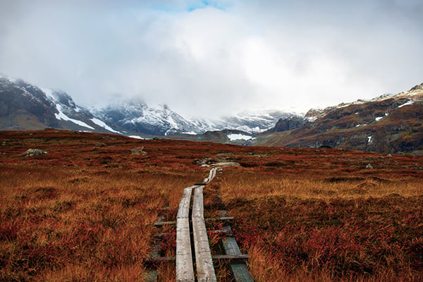 Holzweg auf dem Kungsleden Trail in Lappland