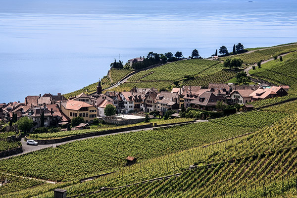 Weinanbaugebiete am Genfer See