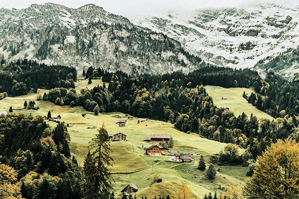 Grüne Wiesen und Bäume mit Bergmassiv im Hintergrund