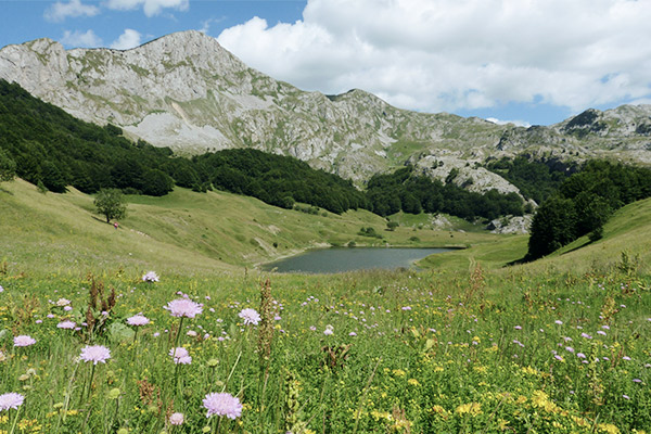 See Orlovačko, Via Dinarica Bosnien