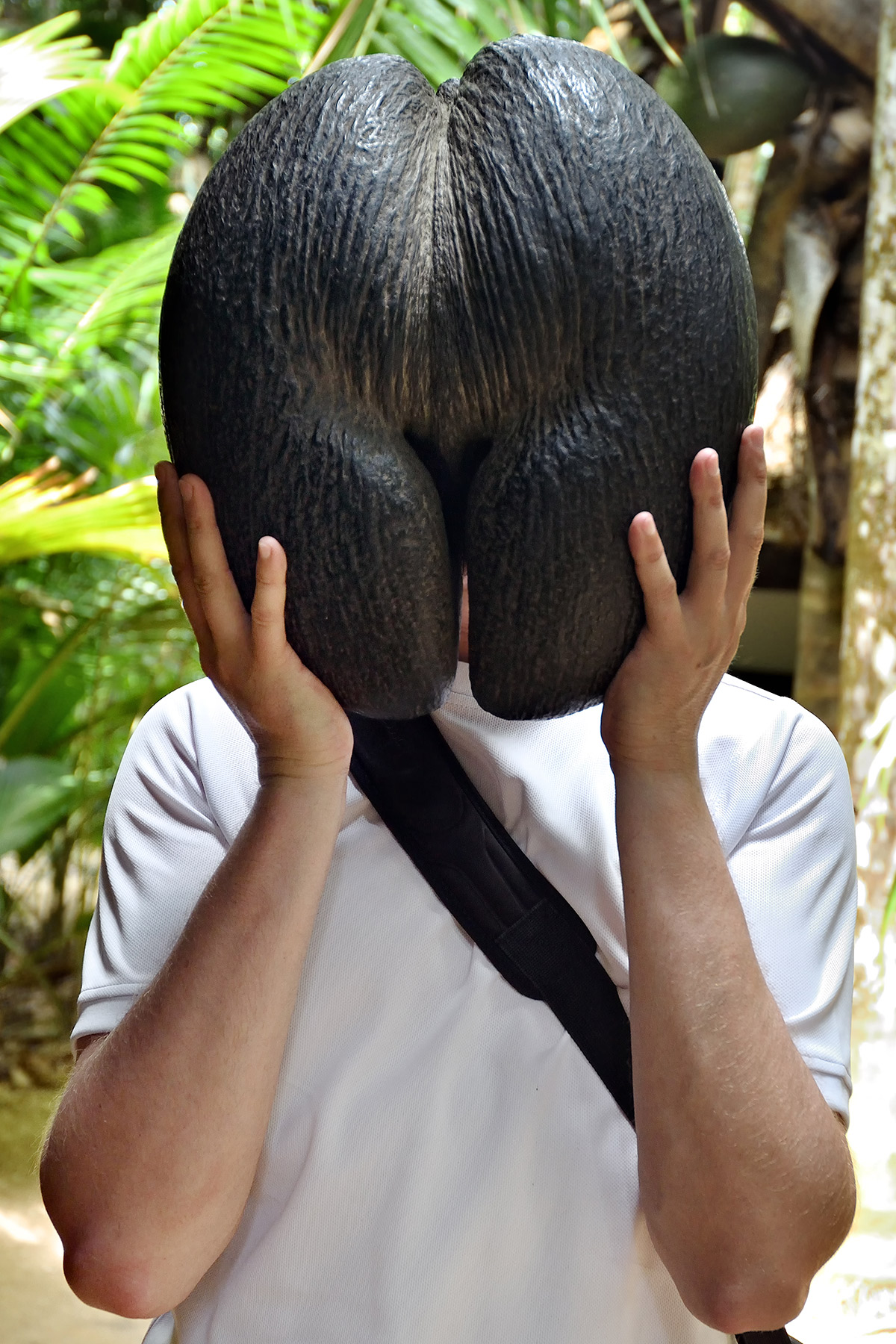 Coco De Thick