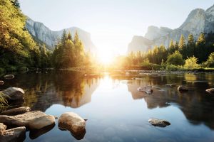 Zauberhafter Sonnenuntergang, durch Bäume hindurch, Yosemite Nationalpark. © Shutterstock