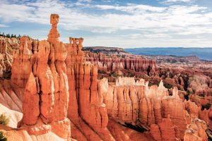 Außergewöhnlich viele Hoodoos auf einem Fleck, Bryce Canyon Nationalpark, USA. © Shutterstock