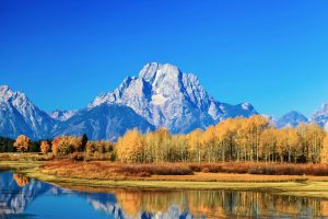 Blick auf See, Wald und Grand Teton. © Shutterstock