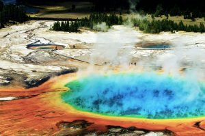 Ein typisches Bild im Yellowstone Nationalpark. © Shutterstock