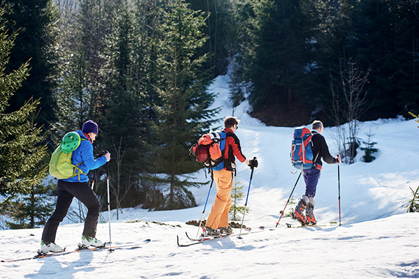 Skitourengeher im Wald