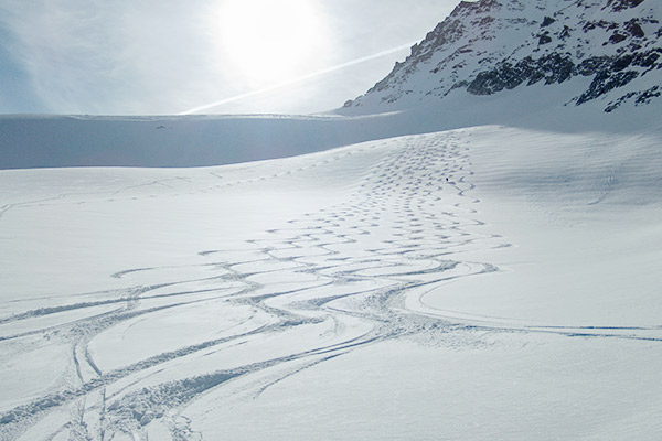 Abfahrtsspuren im Tiefschnee, Silvretta