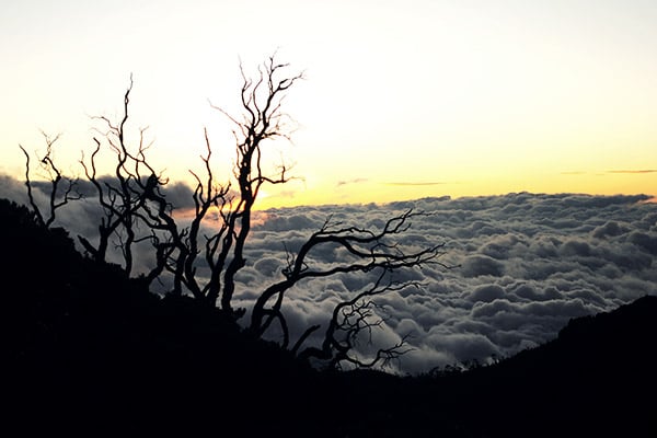 Sonnenaufgang am Cerro Chirripo, Costa Rica