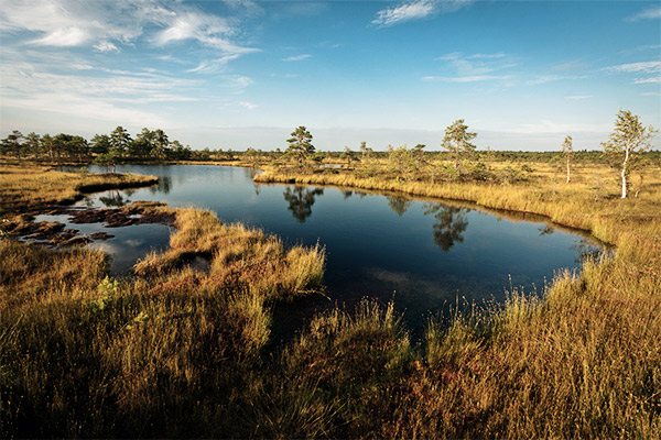 Soomaa Nationalpark, Estland