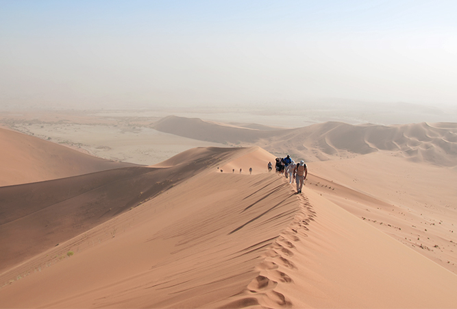 Die Düne Big Daddy in Namibia