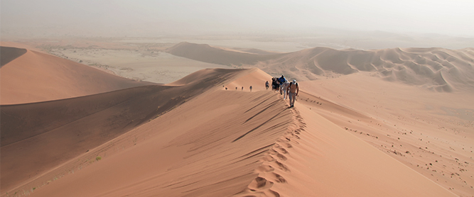 Die Düne Big Daddy in Namibia